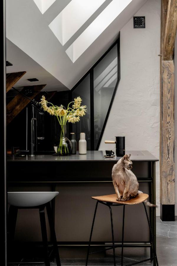 Apartamento Mystictone - Loft In The Heart Of - Nowy Swiat Roomtones